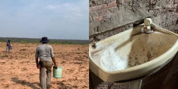 13 trabalhadores são resgatados de situação análoga à escravidão no Piauí