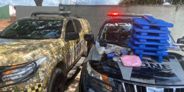 PM apreende quase 50 kg de maconha em residência na zona Sul de Teresina