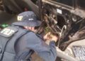 Homens são presos com 10kg de super maconha em rodovia do Piauí