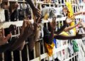 Mais de 430 detentos deixam presídios em ‘saidinha’ de natal no Piauí
