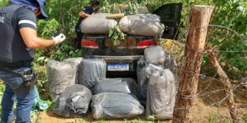 Motorista sofre acidente e foge deixando carro carregado de maconha no Piauí