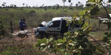 Policial militar colide carro em animal no rodoanel de José de Freitas