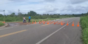 Jovem e cavalo morrem atropelados por ônibus na BR 343 em Piripiri