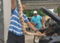 Mecânico encontra cobra dentro de um carro na cidade de José de Freitas