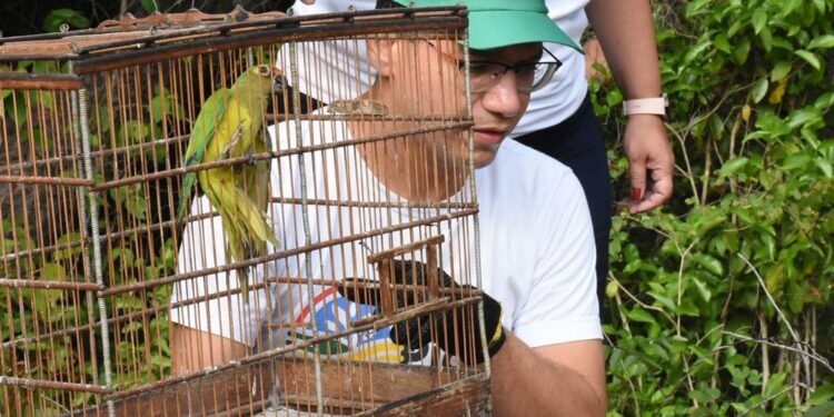 Mais de 40 animais silvestre reabilitados retornam à natureza em José de Freitas