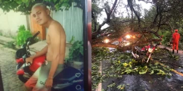 Jovem morre em colisão contra árvore que caiu após forte chuva em Teresina