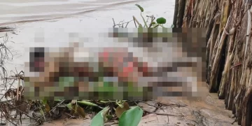 Corpo de pescador que caiu de canoa é encontrado às margens de rio em Parnaíba