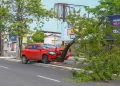 Motorista perde controle e colide em árvore na Avenida Miguel Rosa
