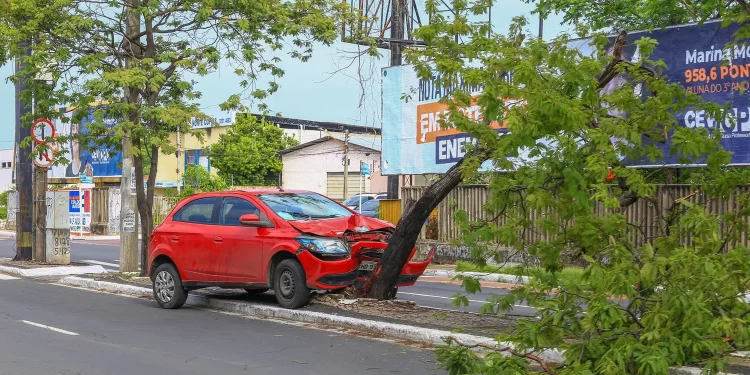 Motorista perde controle e colide em árvore na Avenida Miguel Rosa