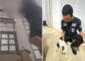 Adolescente é apreendido após enforcar cão e transmitir crime em live