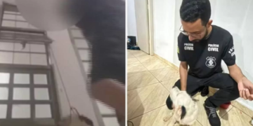 Adolescente é apreendido após enforcar cão e transmitir crime em live