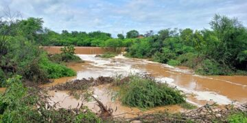 Após fortes chuvas, barragem transborda e população evacua casas no interior do Piauí