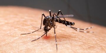 Duas pessoas morrem com suspeita de dengue em Bom Jesus