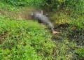 Corpo em avançado estado de decomposição é encontrado em área de mata no litoral do Piauí
