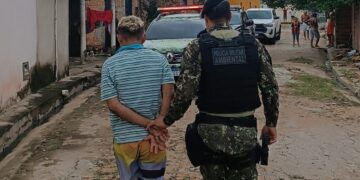Suspeito de matar filhote de cachorro é preso pela polícia em Teresina