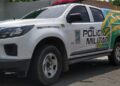 Cachorro é morto a facadas após briga de casal em cidade no Piauí