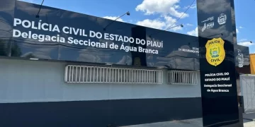 Homem agride avó e tia, destrói casa e é conduzido à delegacia pelo tio no Piauí