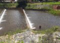 Barragem do Bezerro em José de Freitas deslumbra visitantes com seu transbordamento