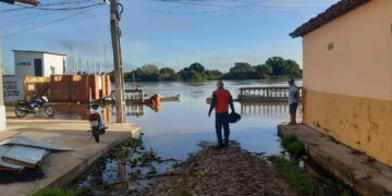 Mais de 160 famílias ficam ilhadas após cheia do rio Parnaíba na zona rural de Luzilândia, no Piauí