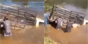 Condutor de carreta perde controle do veículo e cai em açude em município no Piauí