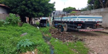 Famílias são despejadas depois de invadirem terreno sem registro em Teresina