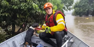 Bombeiros do Piauí auxiliam famílias e resgatam mais de 30 animais no RS