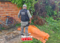 Homem de 61 anos é encontrado morto no centro da cidade de José de Freitas