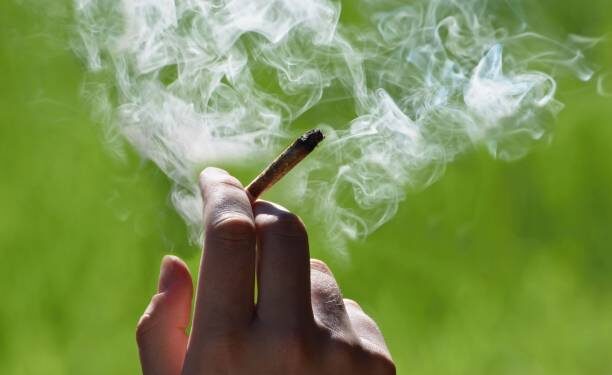 STF decide descriminalizar porte de maconha para uso pessoal