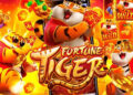 Piauiense ganha R$ 1,5 milhão em “Jogo do Tigrinho”, mas não pode sacar o valor
