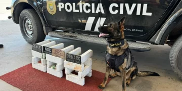 Polícia Civil prende homem com 24 tabletes de drogas dentro de ônibus em Bom Jesus