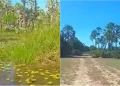Corpo em avançado estado de decomposição é encontrado em carnaubal em Parnaíba