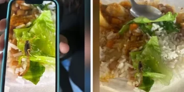 Alunos encontram escorpião no prato de comida em escola de São Paulo