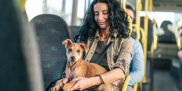 Alepi aprova livre fluxo de pequenos animais em transportes públicos e privados