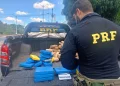 PRF apreende 55 tabletes de skunk e 29 de cocaína em Teresina