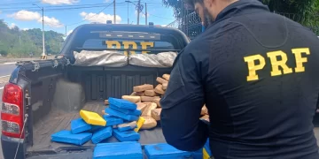 PRF apreende 55 tabletes de skunk e 29 de cocaína em Teresina