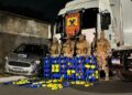 Polícia apreende mais de 100kg de drogas em Teresina