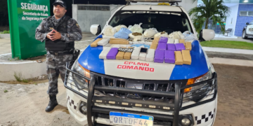 Homem é preso com cerca de 30 quilos de maconha dentro de ônibus em Parnaíba