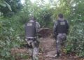 Polícia Militar realiza prisão e apreensão de drogas em José de Freitas