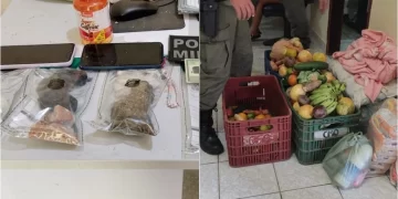 Mulher é presa transportando drogas em pacotes de alimentos em van no Piauí