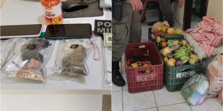 Mulher é presa transportando drogas em pacotes de alimentos em van no Piauí