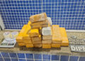 Polícia Militar apreende grande quantidade de droga no litoral do Piauí