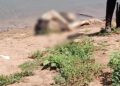 Corpo é encontrado nas margens do Rio Parnaíba em Teresina