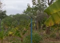 Governo entrega kits de irrigação para agricultores de 36 municípios no Piauí