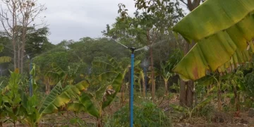 Governo entrega kits de irrigação para agricultores de 36 municípios no Piauí