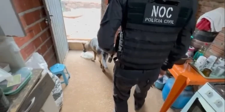 Homem finge ser mudo e é preso com drogas na boca durante operação em Teresina