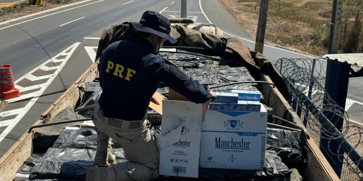 PRF apreende quase 600 mil maços de cigarro contrabandeados em José de Freitas