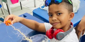 Menino de 7 anos morre após desabamento de muro em Parnaíba
