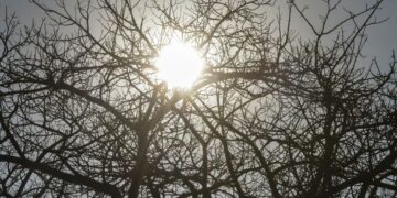 Inmet alerta para baixa umidade e risco de vendaval no Piauí