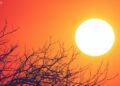Piauí registrou as temperaturas mais altas do país no último fim de semana