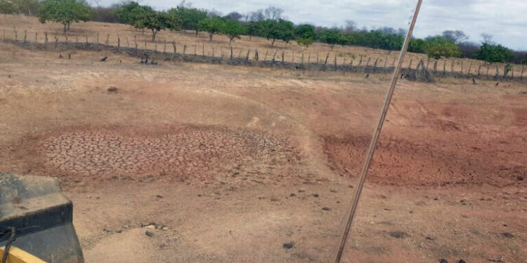 Seca provoca situação de emergência em mais de 100 municípios do Piauí